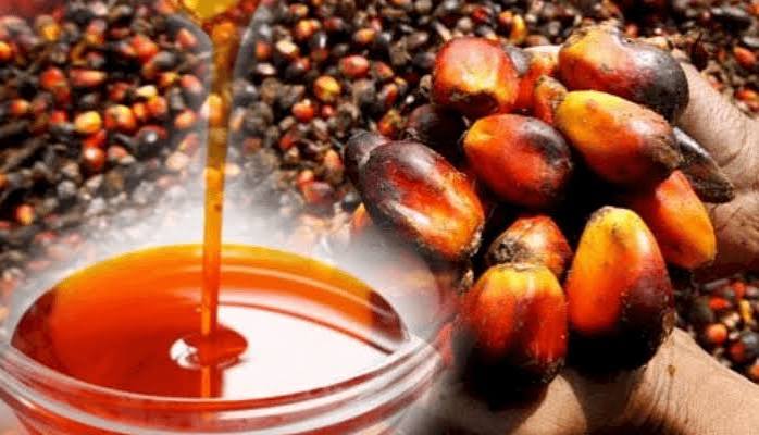 Healthy Oils